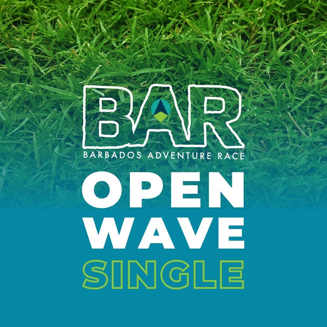 bar open wave single
