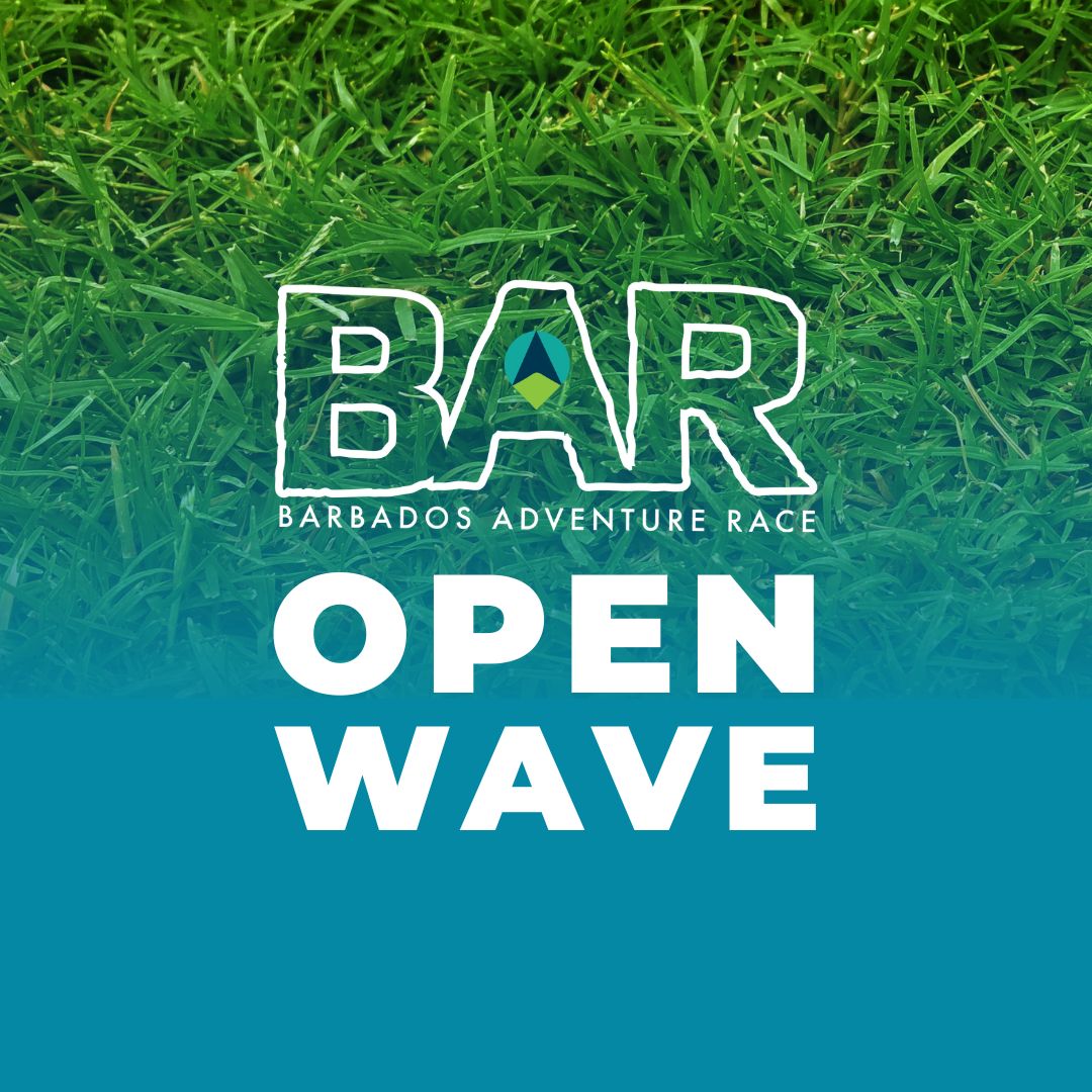 bar open wave team